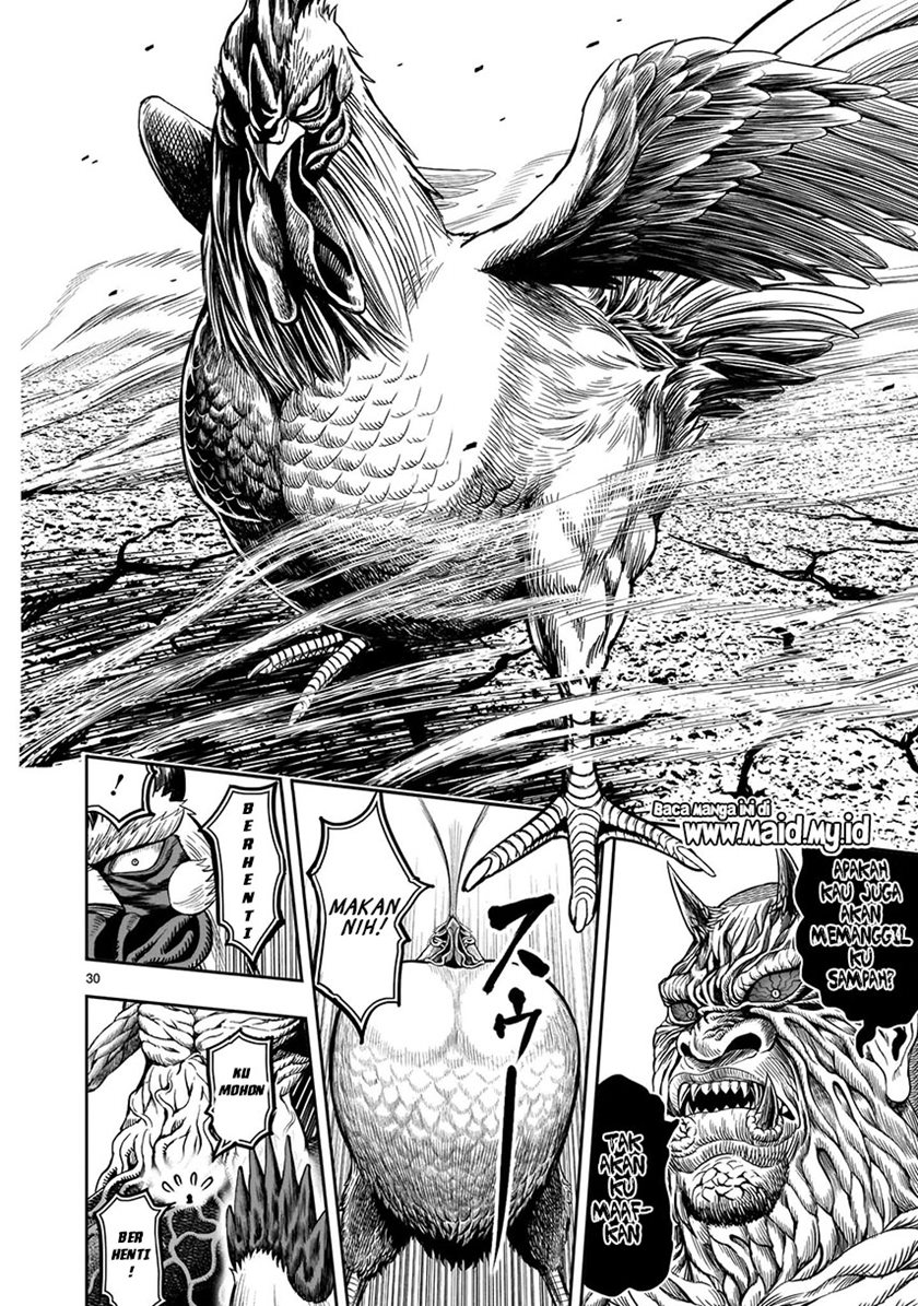 Rooster Fighter