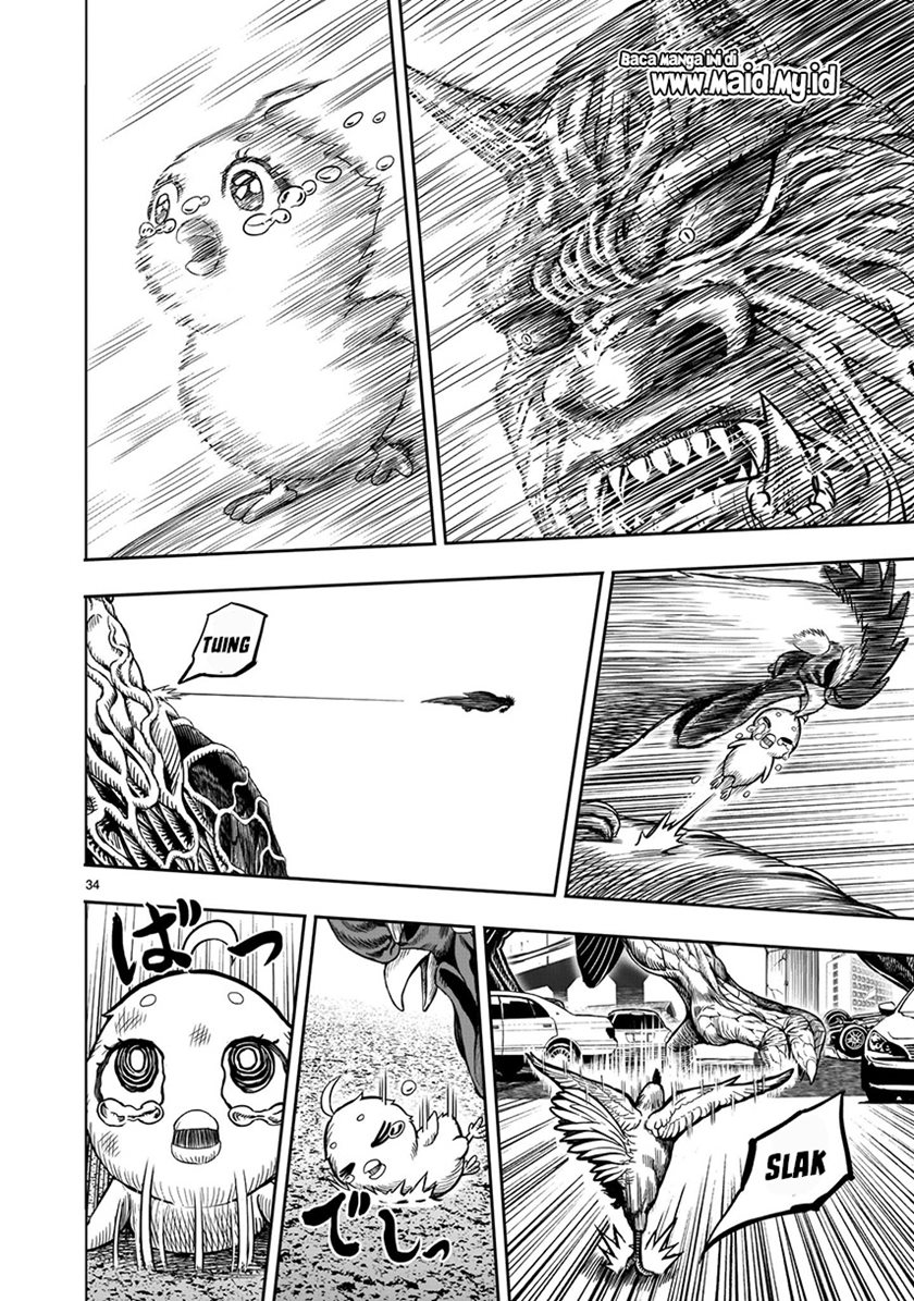 Rooster Fighter