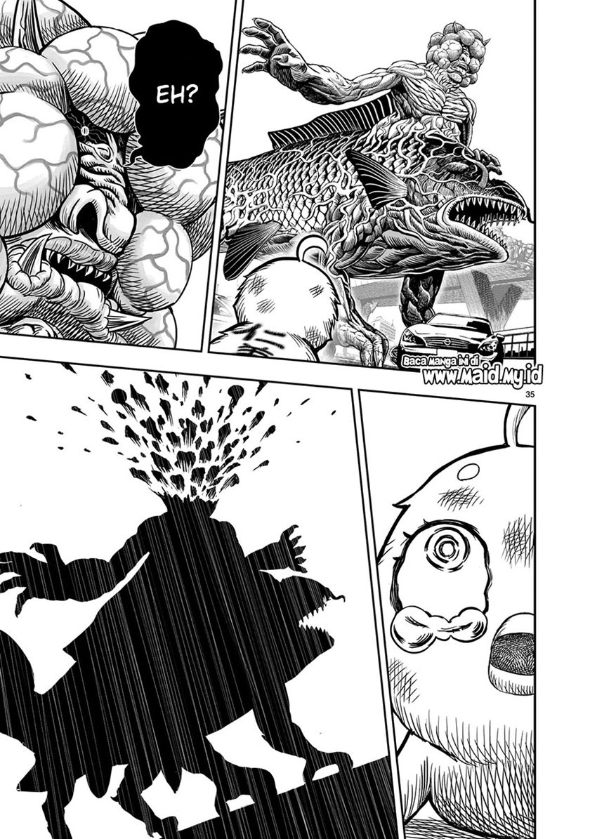 Rooster Fighter