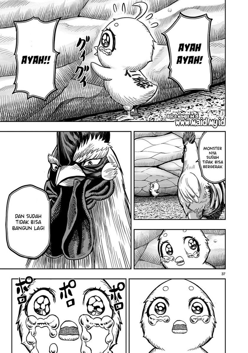 Rooster Fighter