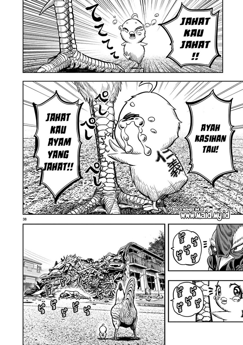 Rooster Fighter