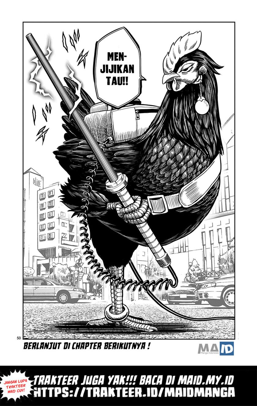 Rooster Fighter