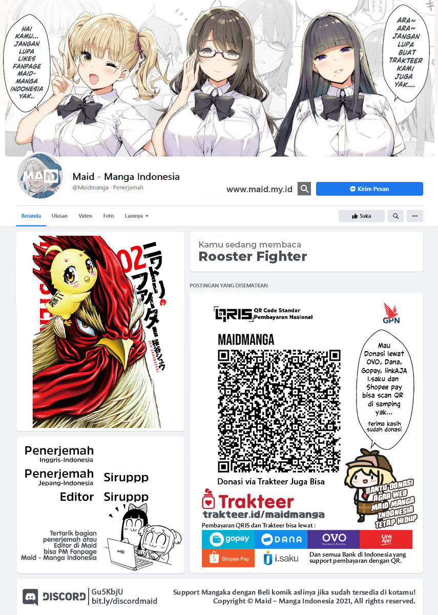 Rooster Fighter