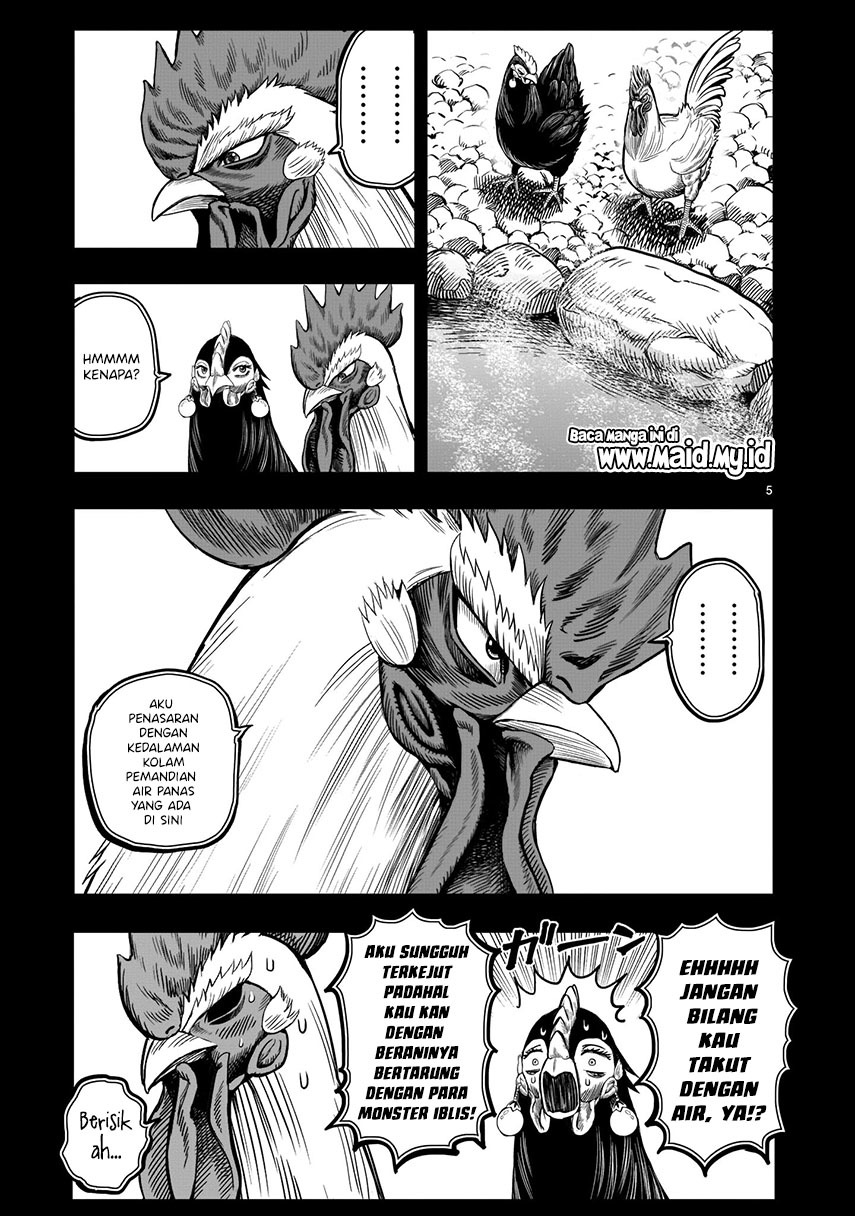 Rooster Fighter