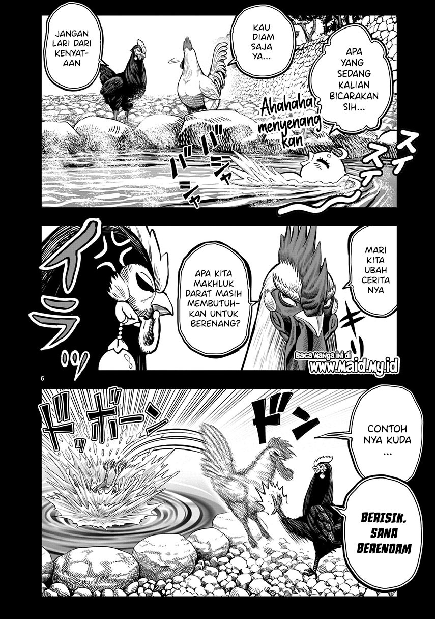 Rooster Fighter