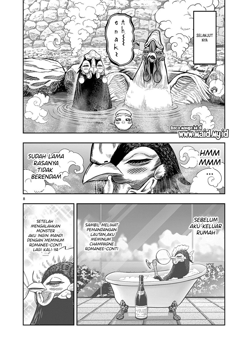 Rooster Fighter