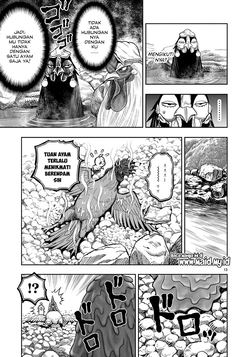Rooster Fighter