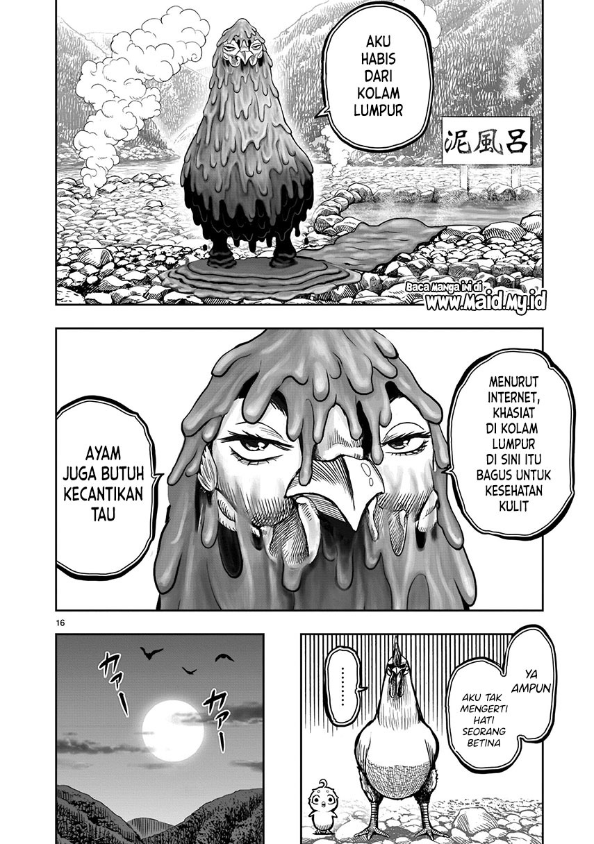 Rooster Fighter