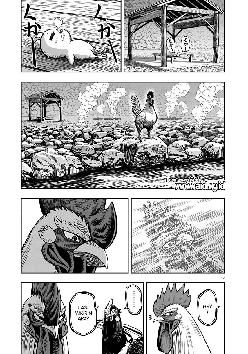 Rooster Fighter