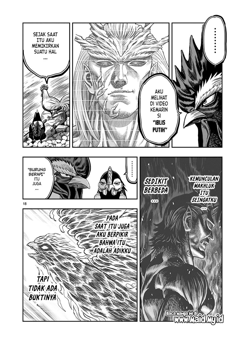 Rooster Fighter