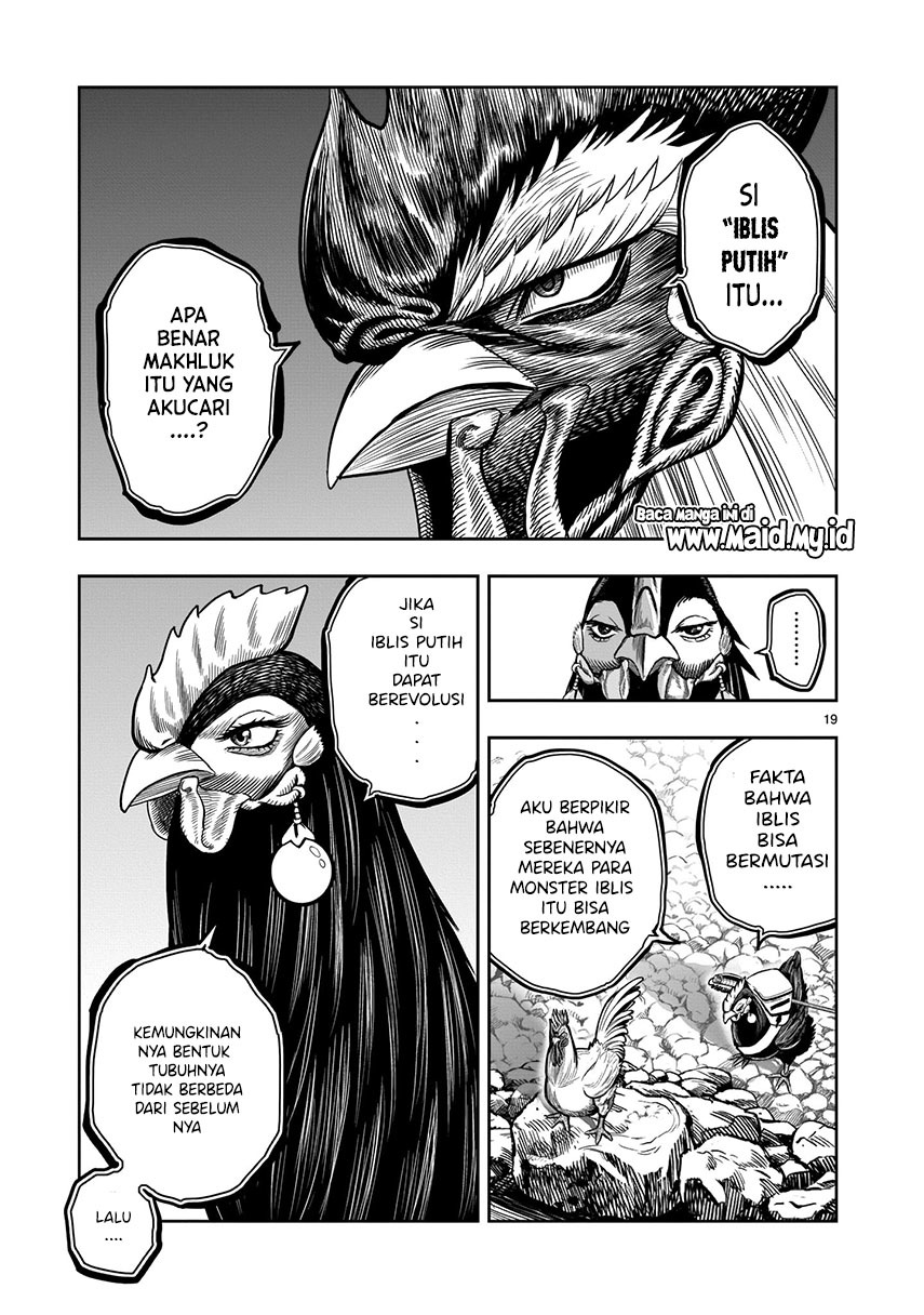 Rooster Fighter
