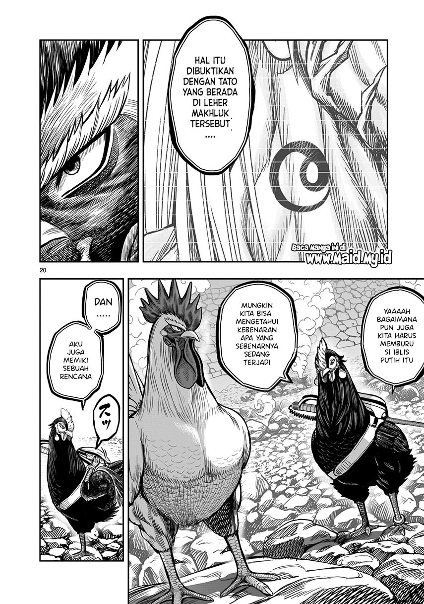 Rooster Fighter