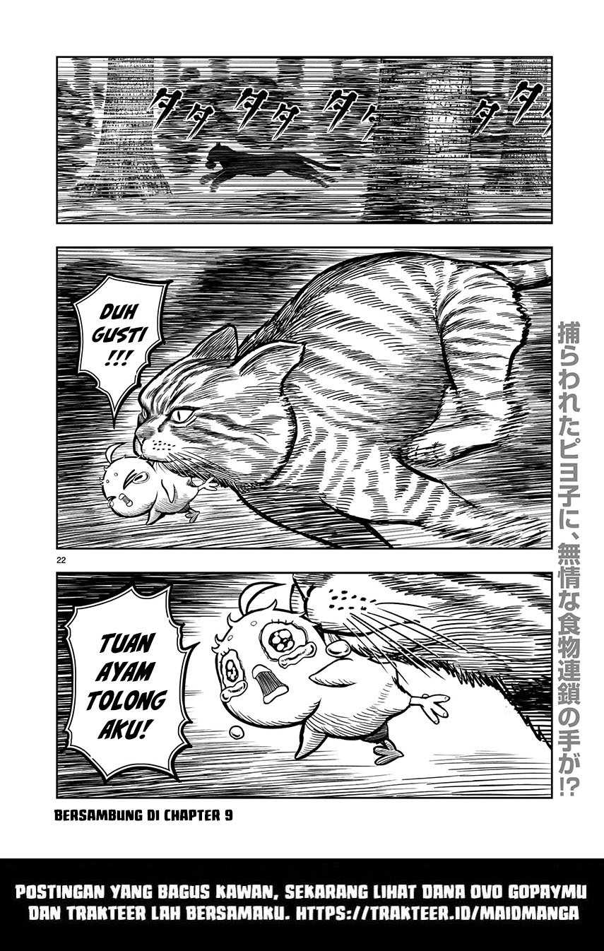 Rooster Fighter