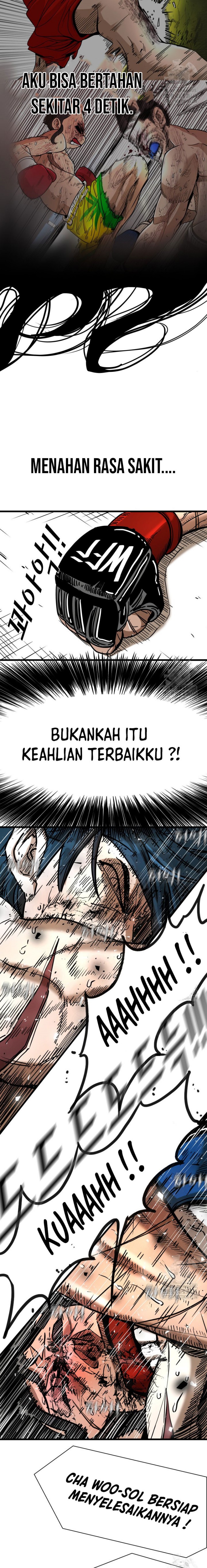 Shark