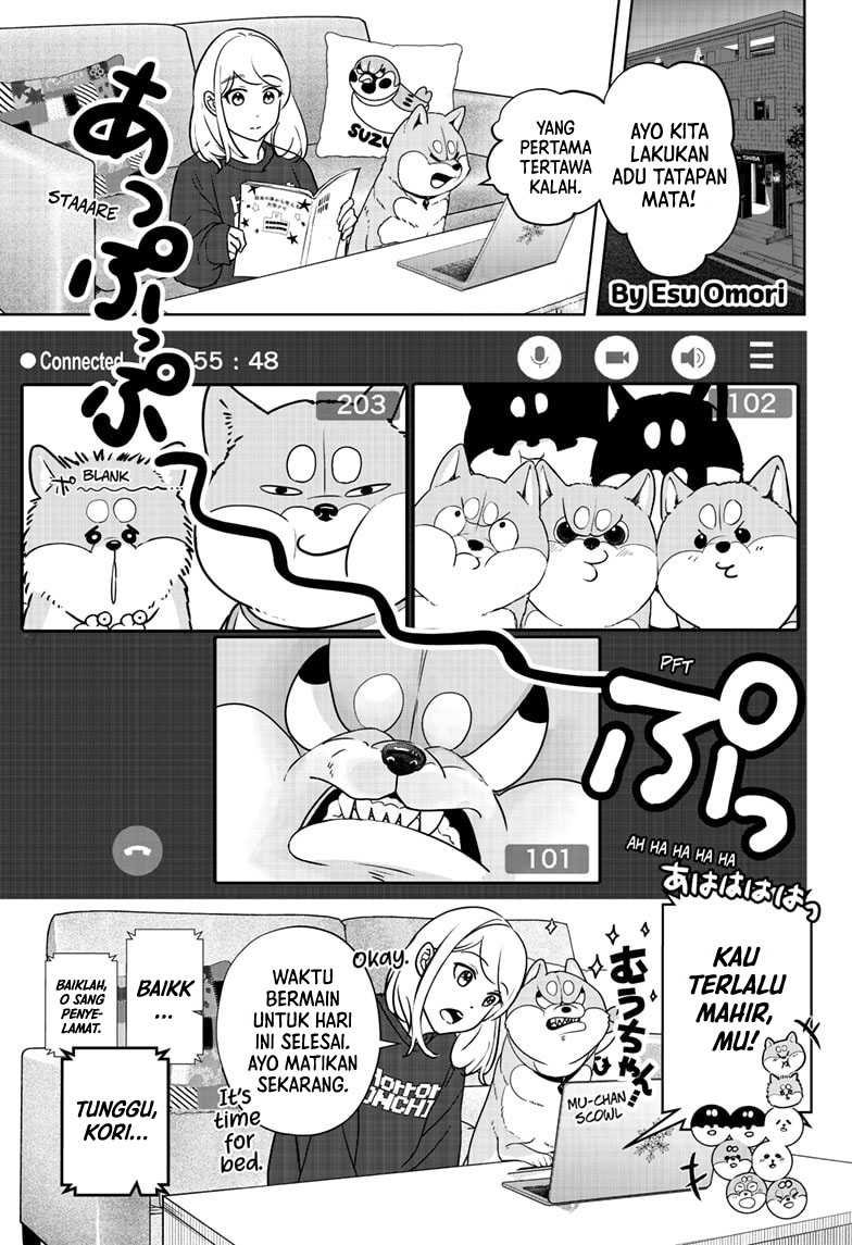 Shiba-Tsuki Bukken