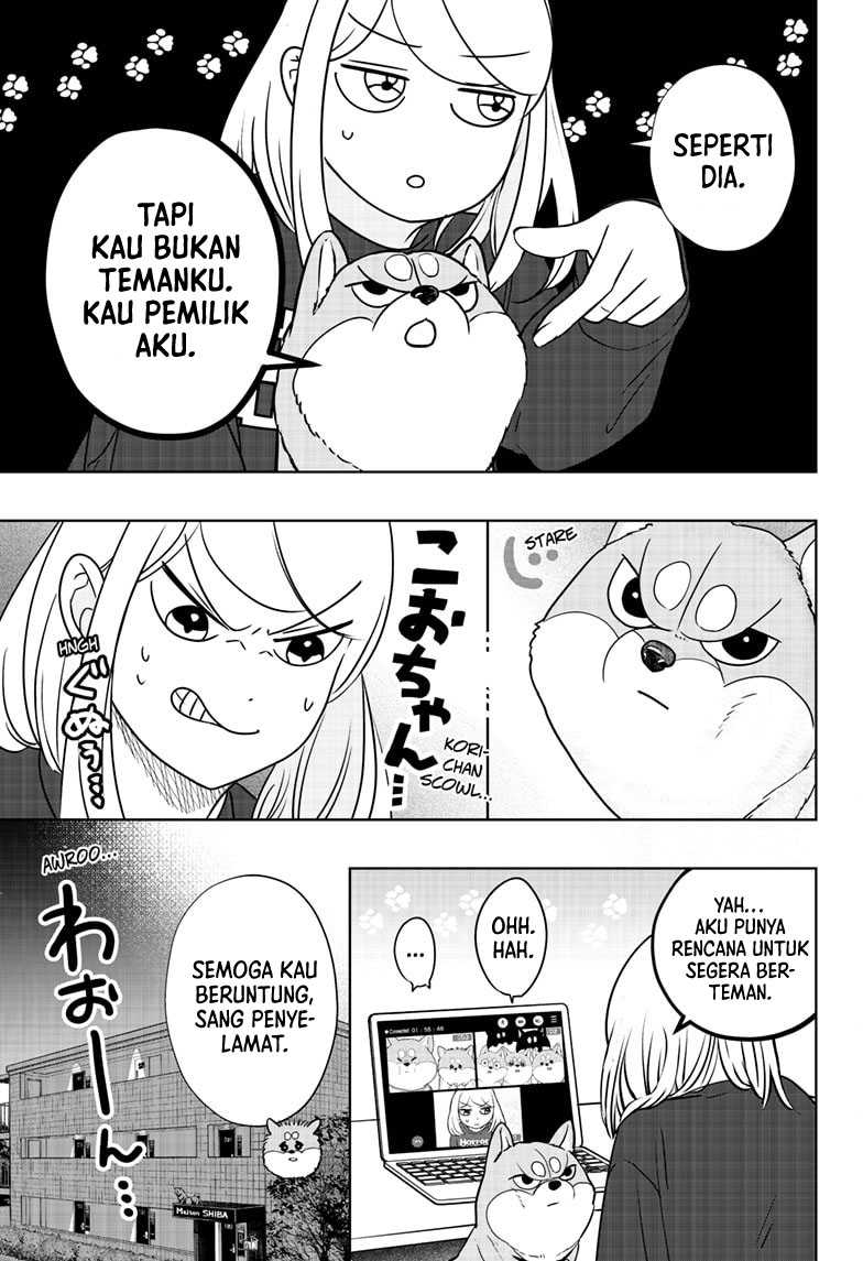 Shiba-Tsuki Bukken