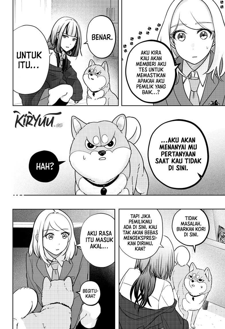 Shiba-Tsuki Bukken