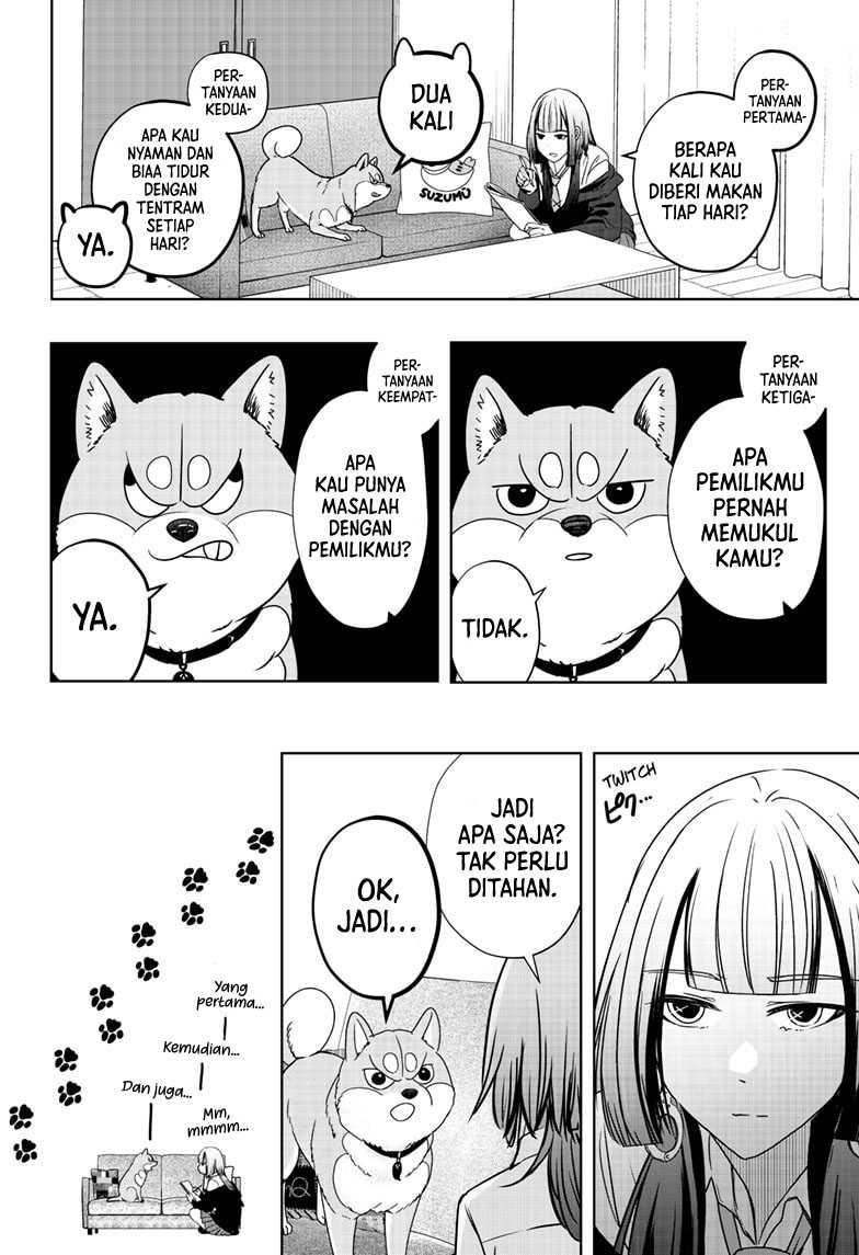 Shiba-Tsuki Bukken