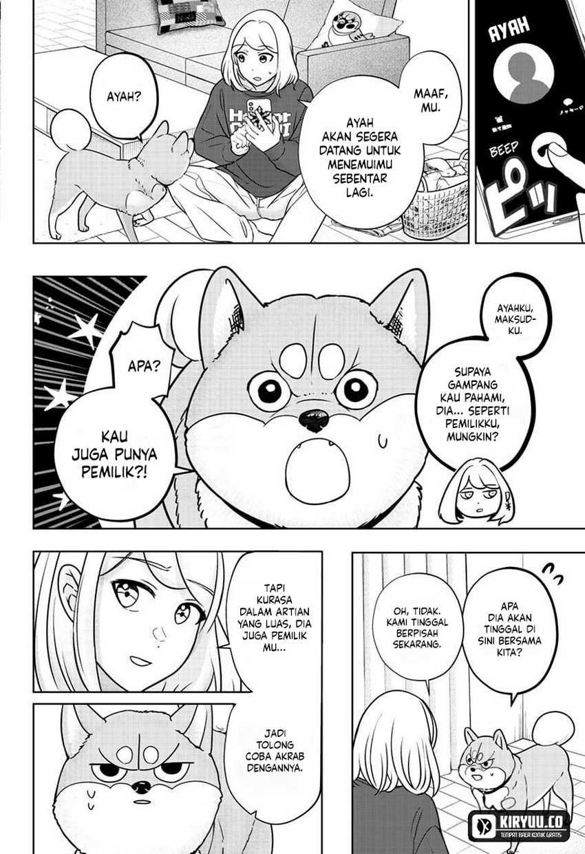 Shiba-Tsuki Bukken