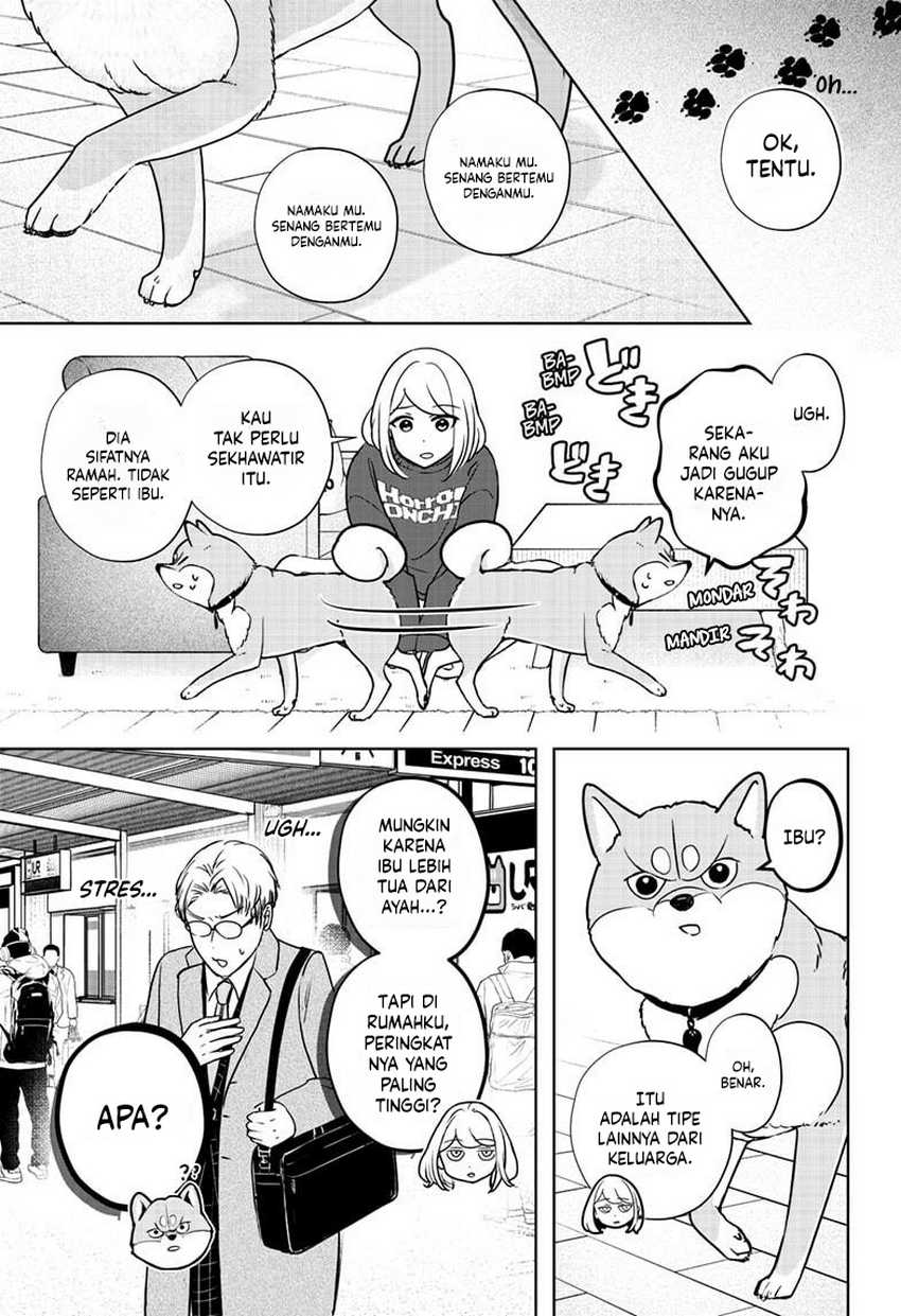Shiba-Tsuki Bukken