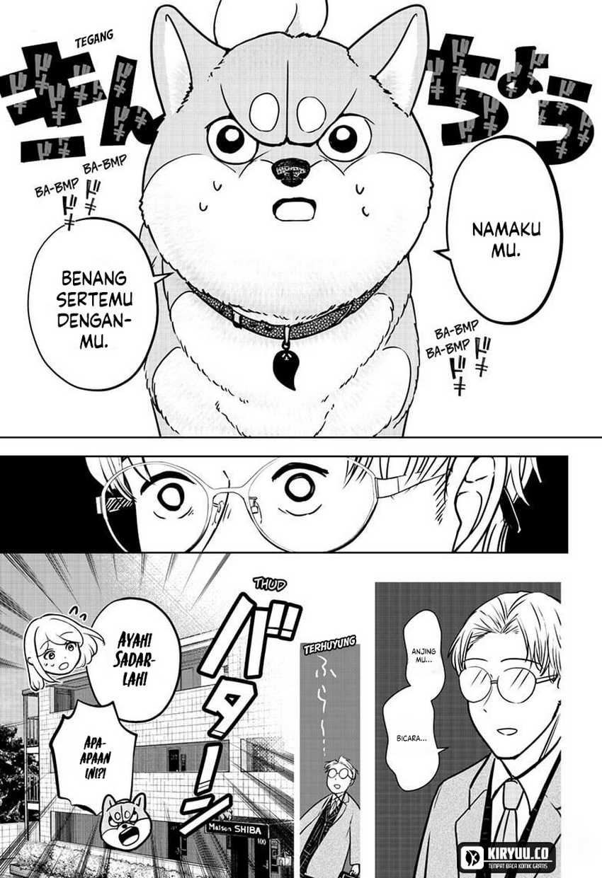 Shiba-Tsuki Bukken