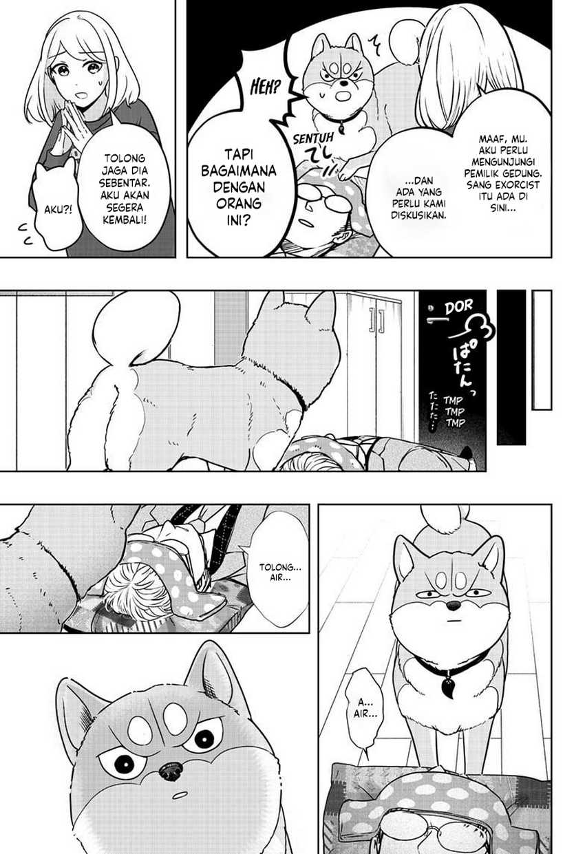 Shiba-Tsuki Bukken