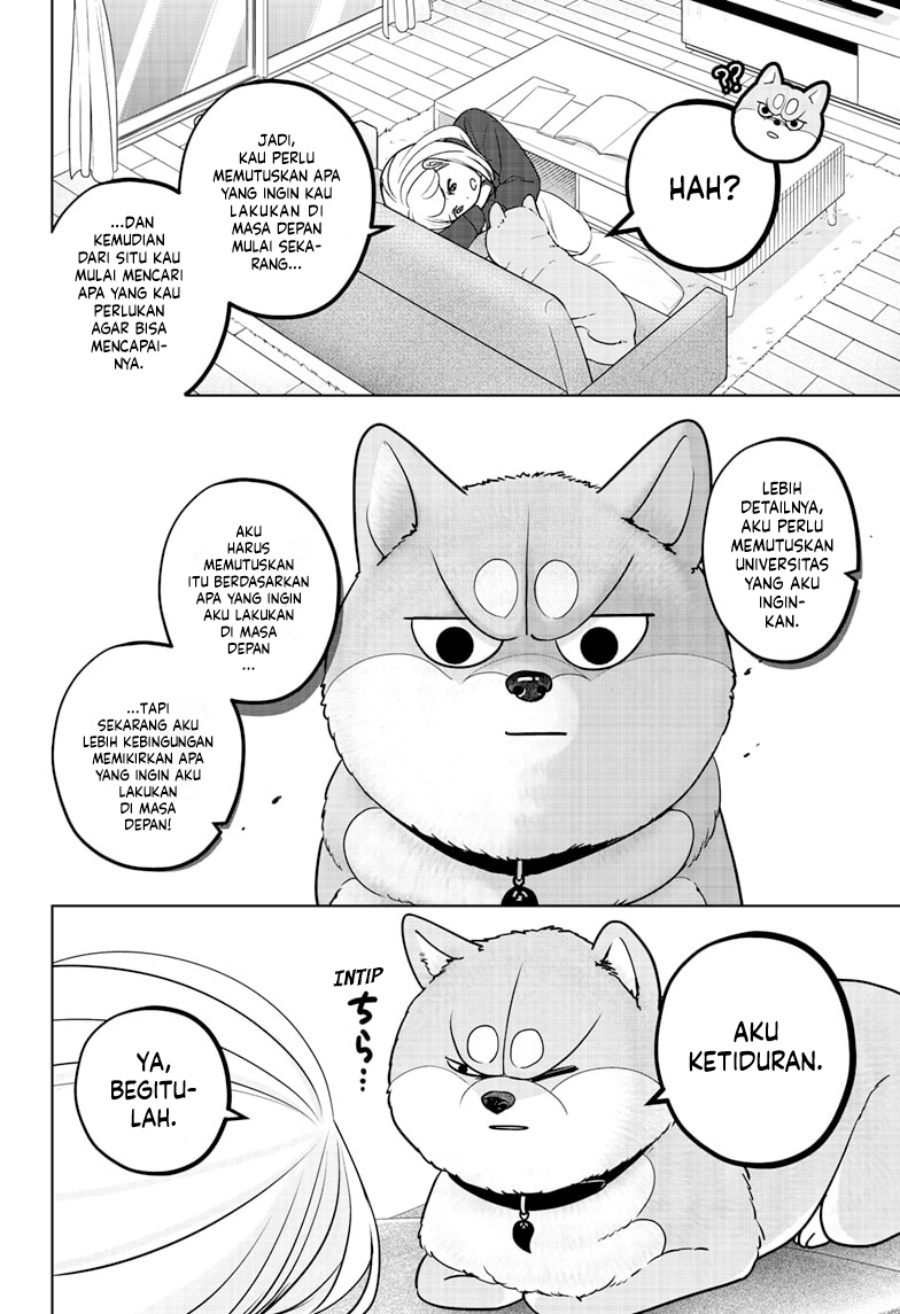 Shiba-Tsuki Bukken