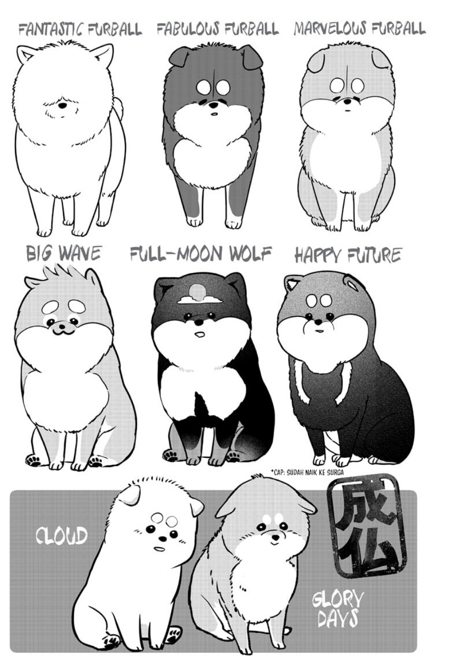 Shiba-Tsuki Bukken