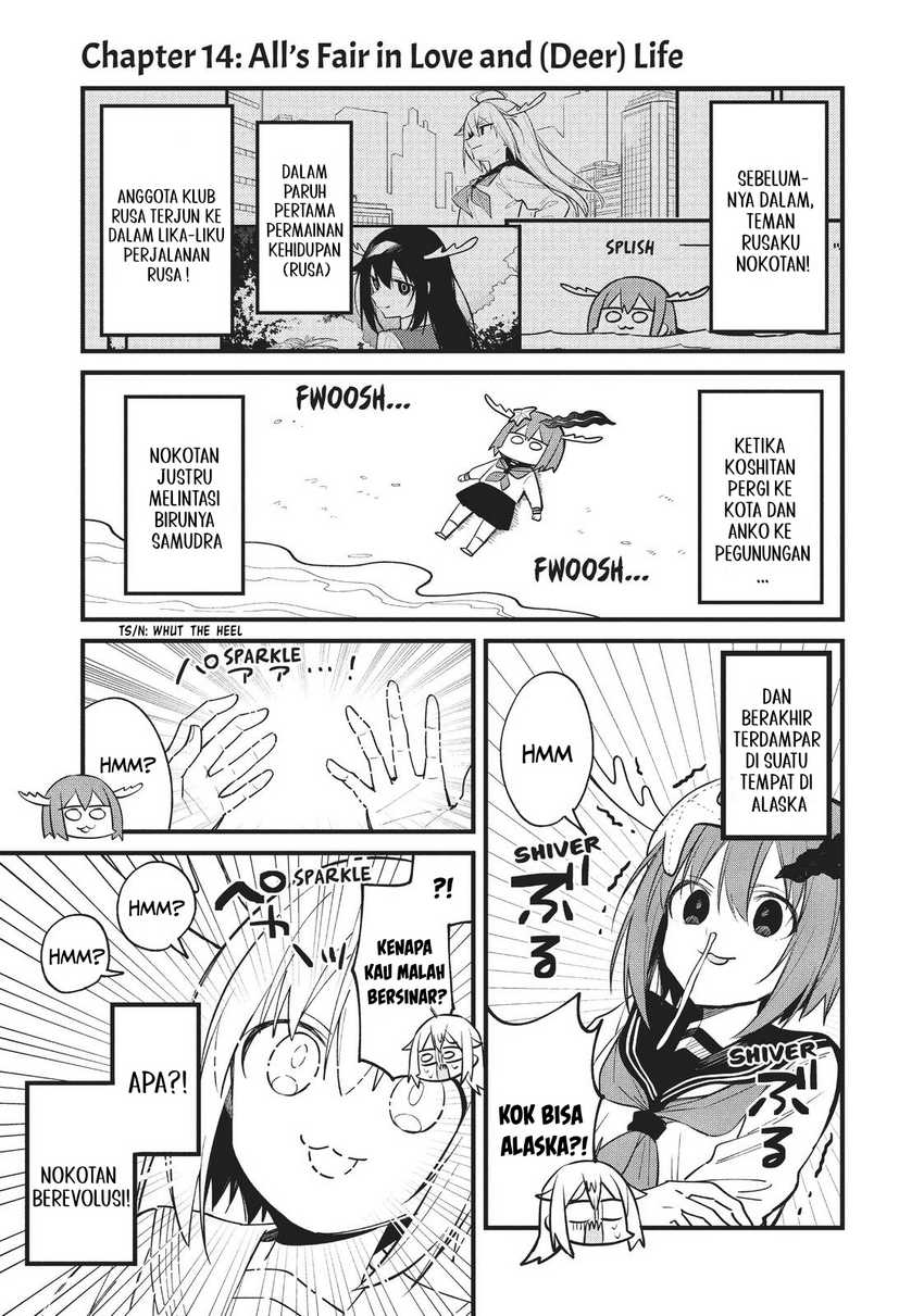 Shikanoko Nokonoko Koshitantan