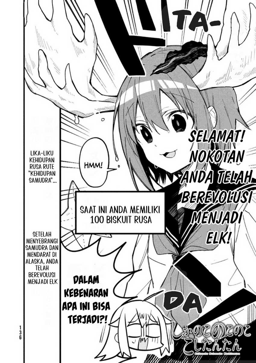 Shikanoko Nokonoko Koshitantan