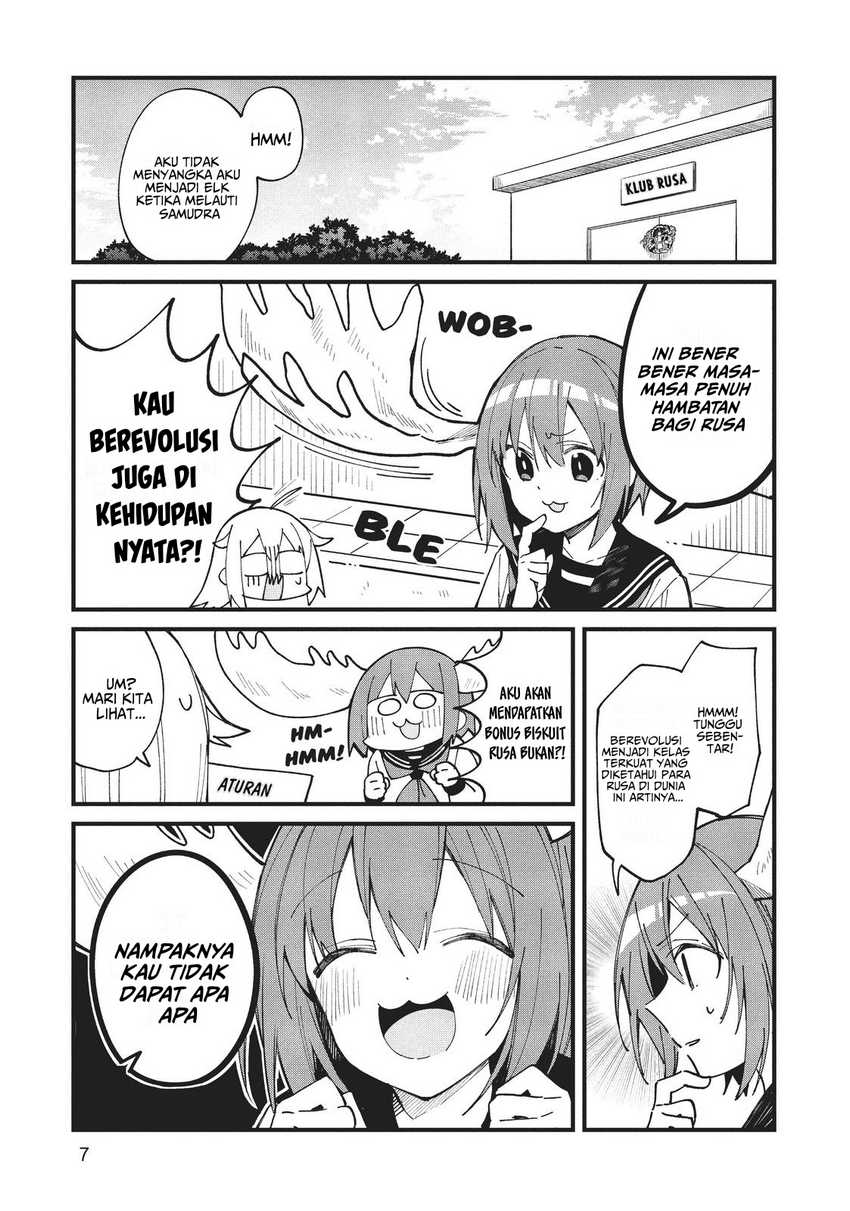Shikanoko Nokonoko Koshitantan