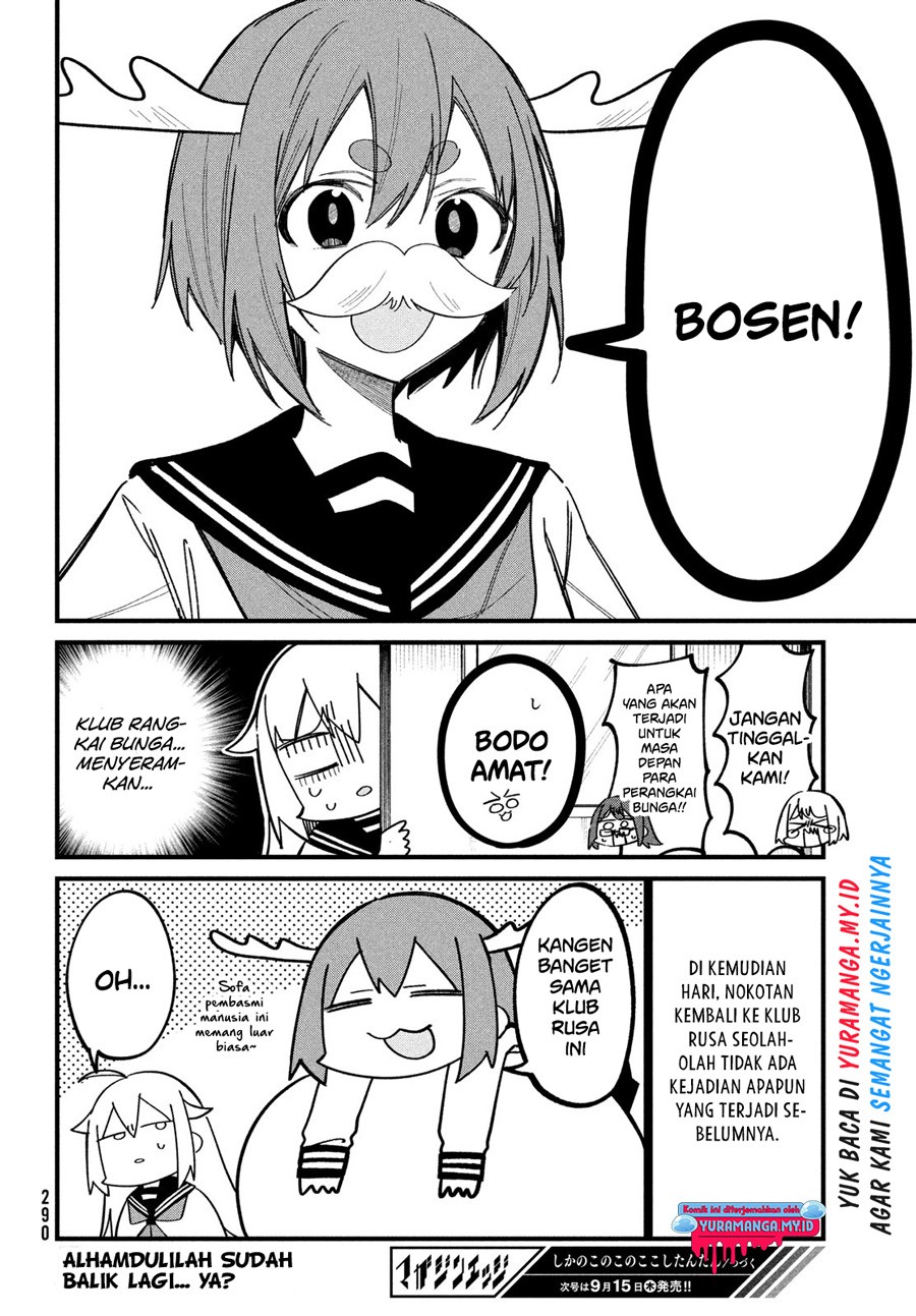 Shikanoko Nokonoko Koshitantan
