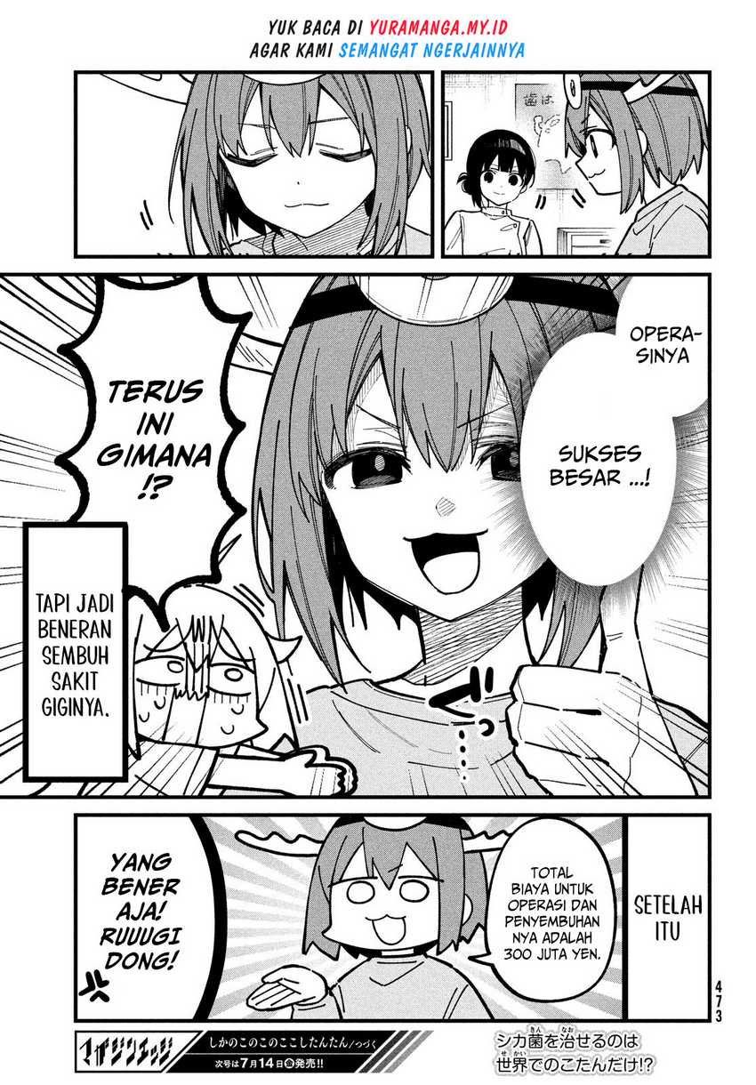 Shikanoko Nokonoko Koshitantan