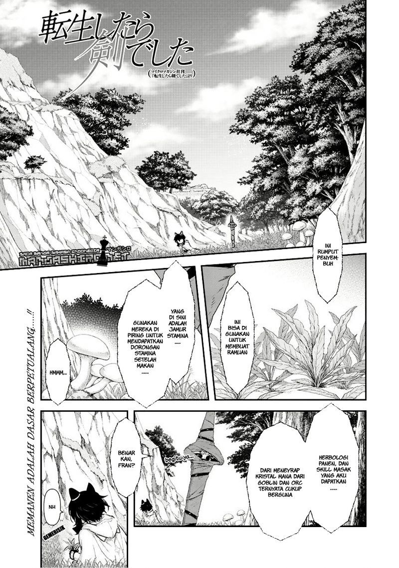 Tensei Shitara Ken Deshita