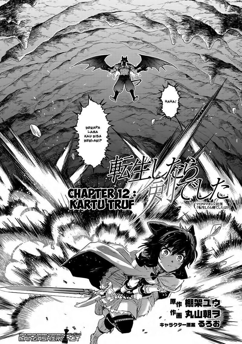 Tensei Shitara Ken Deshita