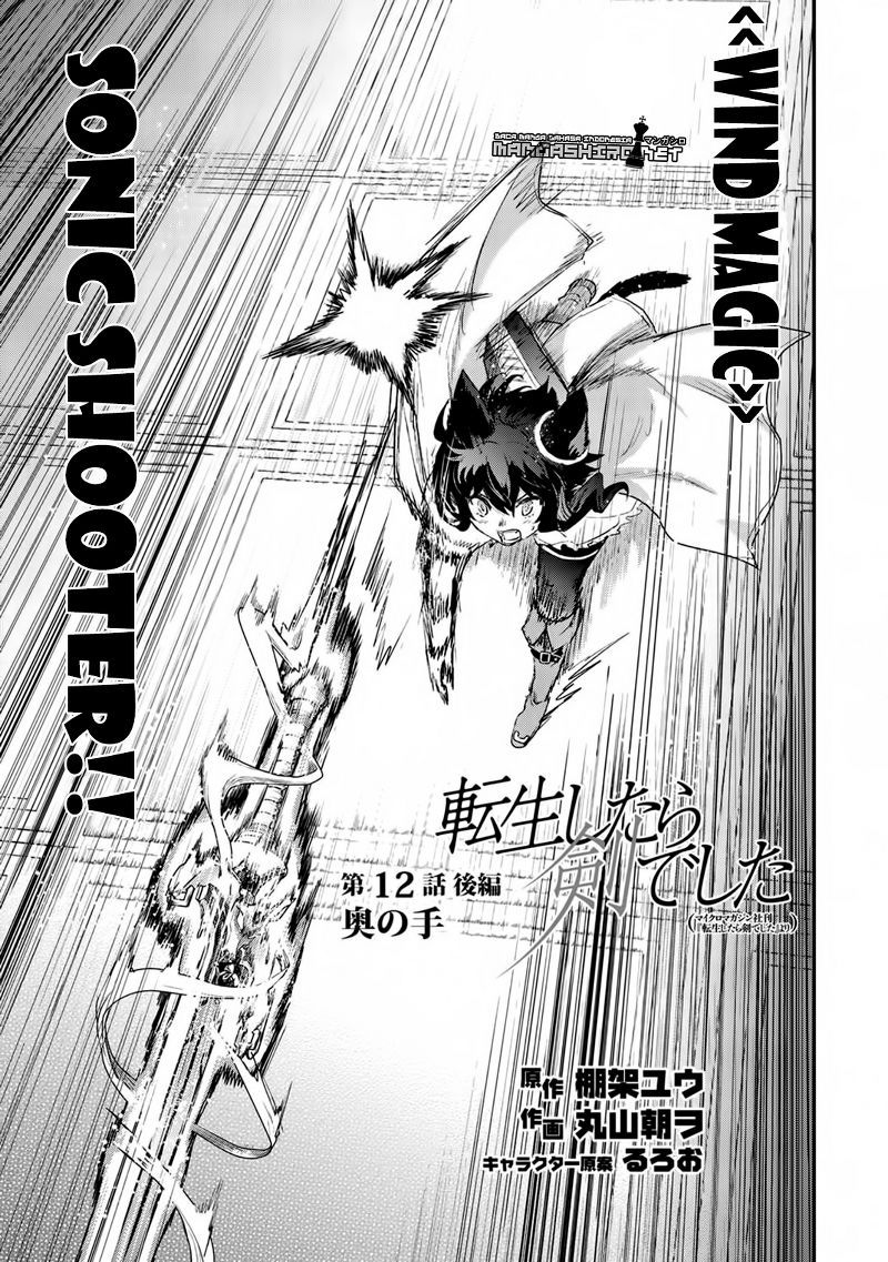 Tensei Shitara Ken Deshita