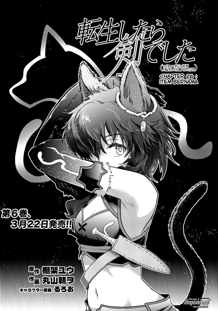 Tensei Shitara Ken Deshita