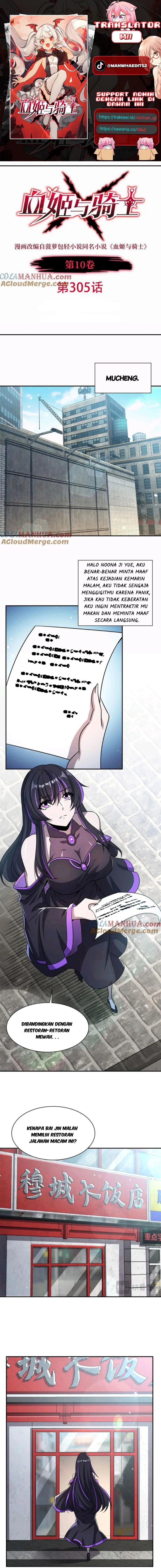 The Blood Princess And The Knight