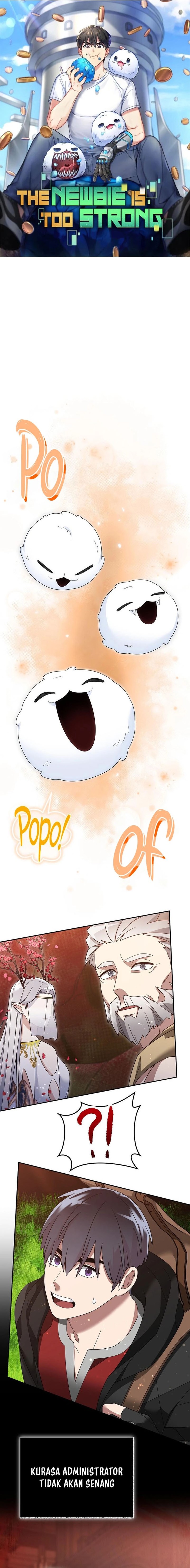 The Newbie Is Too Strong