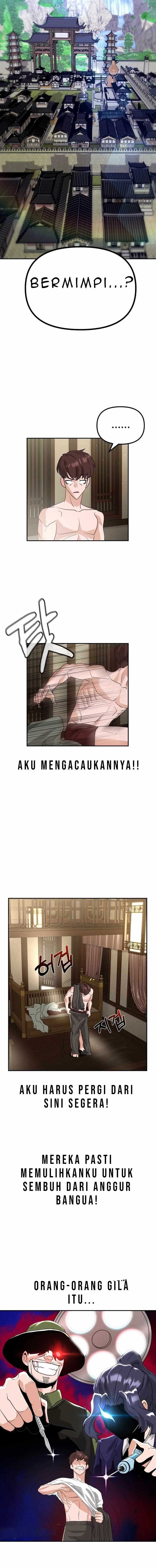 The Immortal Drunken Master