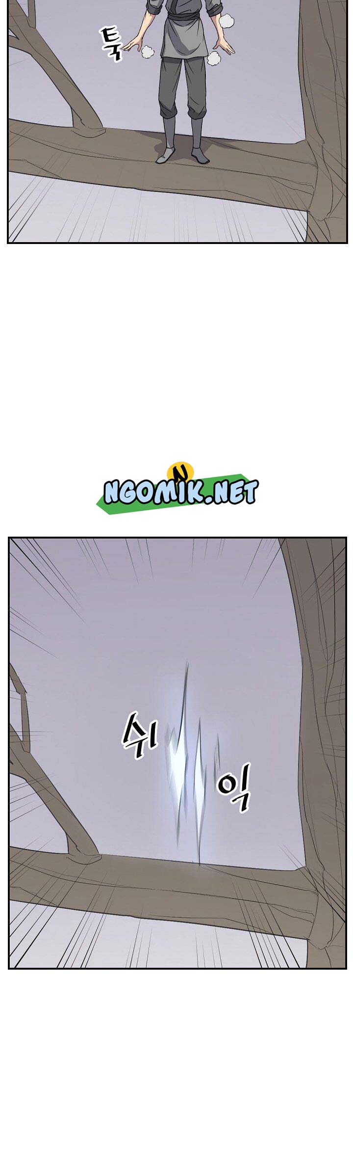 The Invincible Immortal