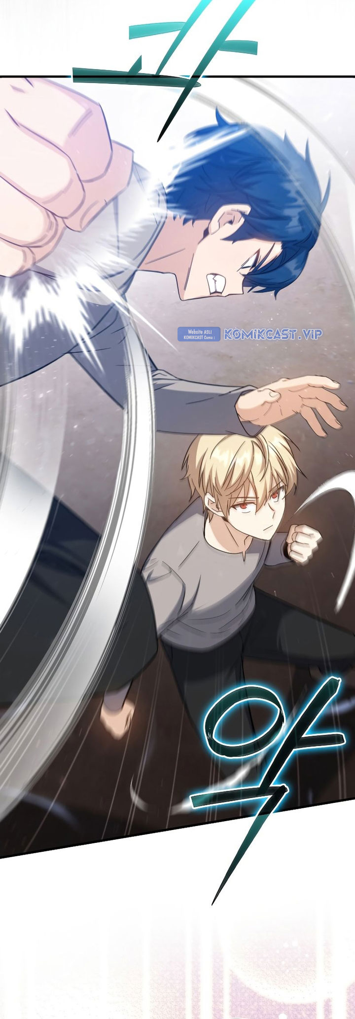 The Reincarnated Assassin is a Genius Swordsman