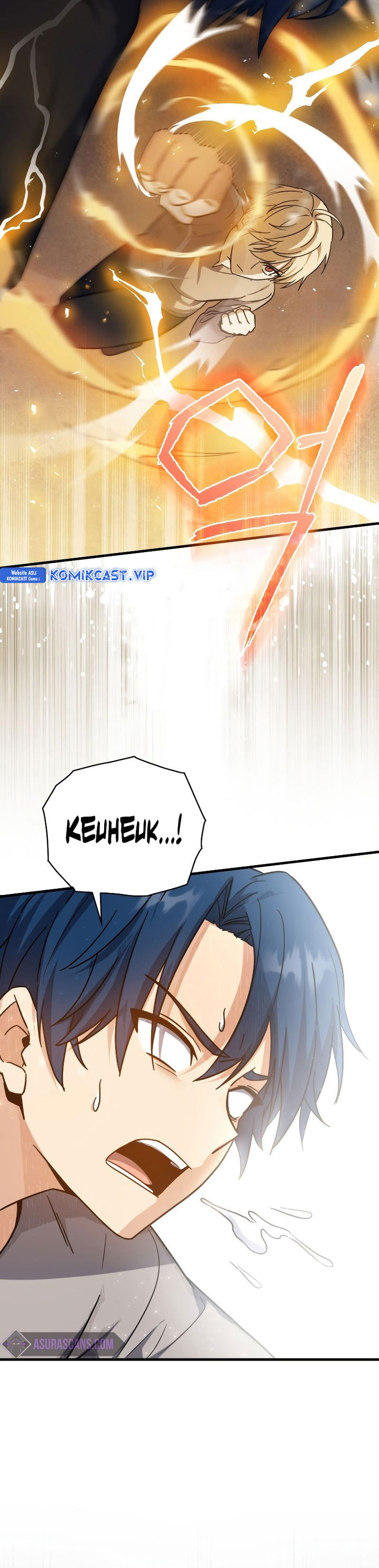 The Reincarnated Assassin is a Genius Swordsman