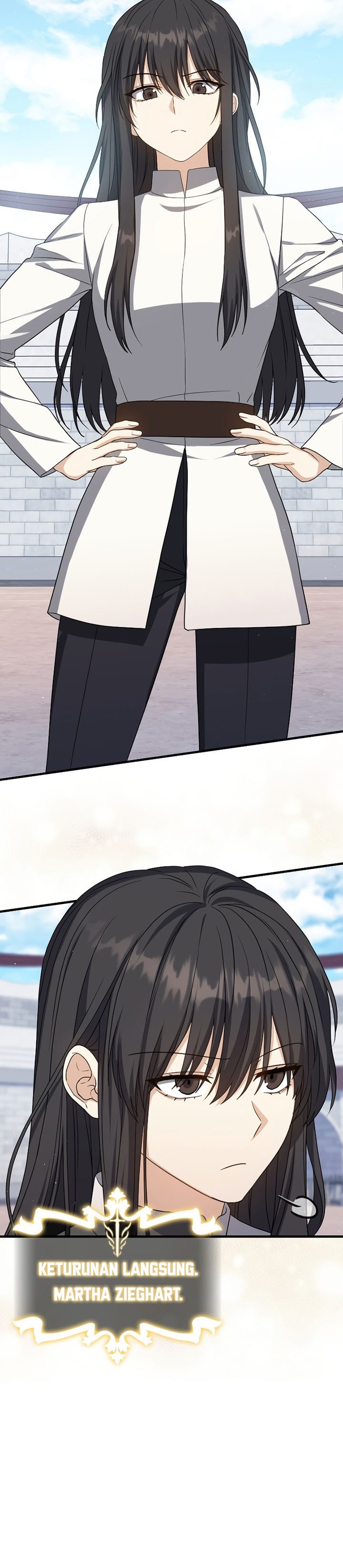The Reincarnated Assassin is a Genius Swordsman