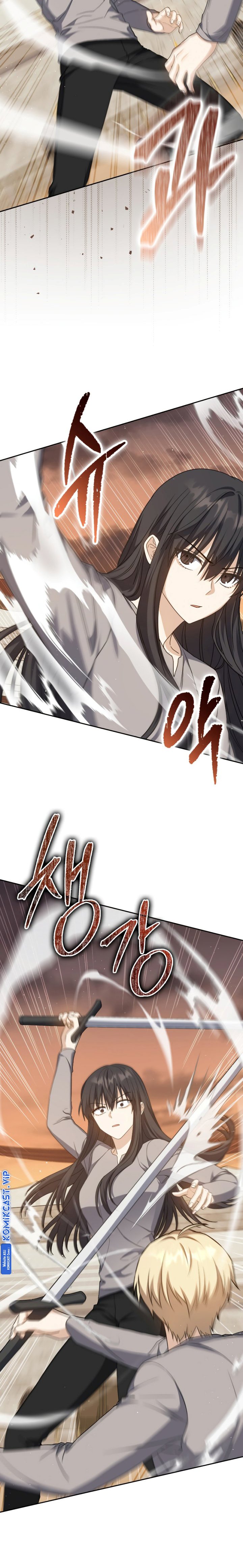 The Reincarnated Assassin is a Genius Swordsman
