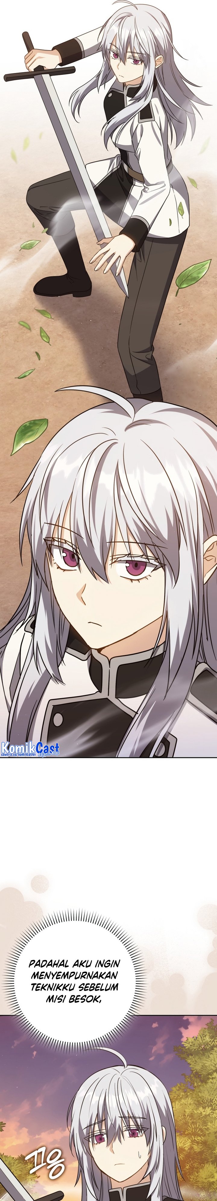 The Reincarnated Assassin is a Genius Swordsman
