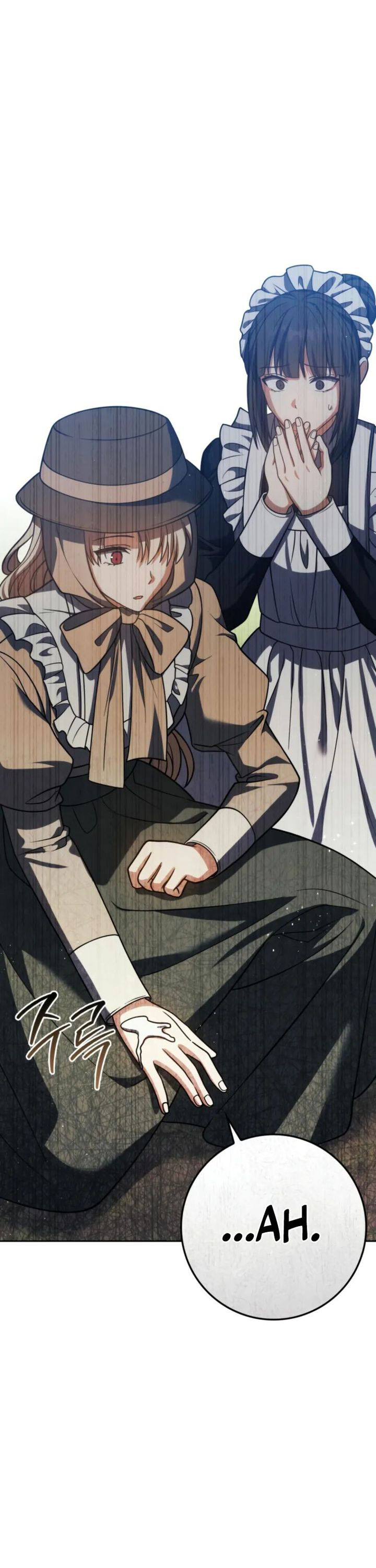 The Reincarnated Assassin is a Genius Swordsman