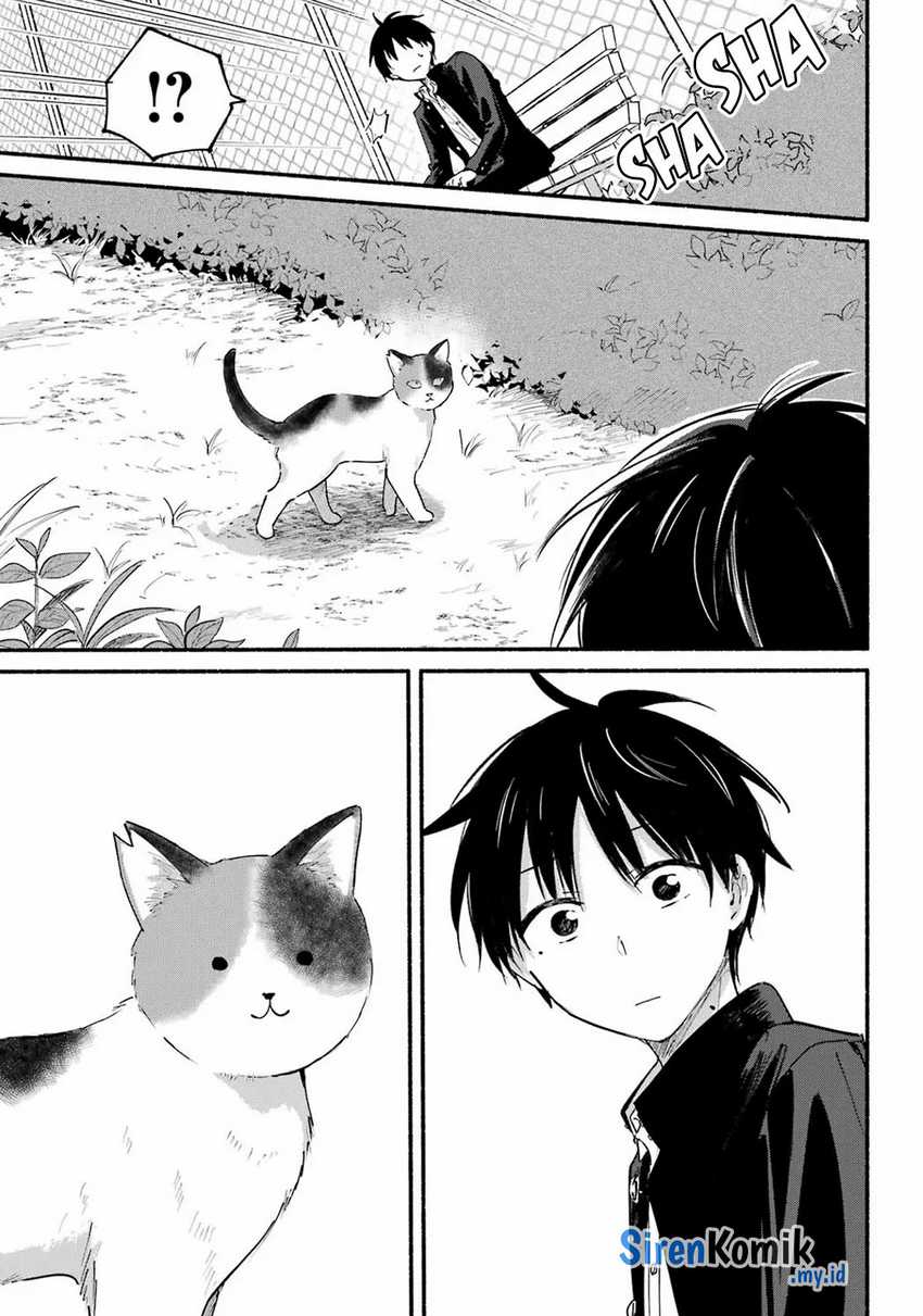 Tonari no Neko to Koi Shirazu