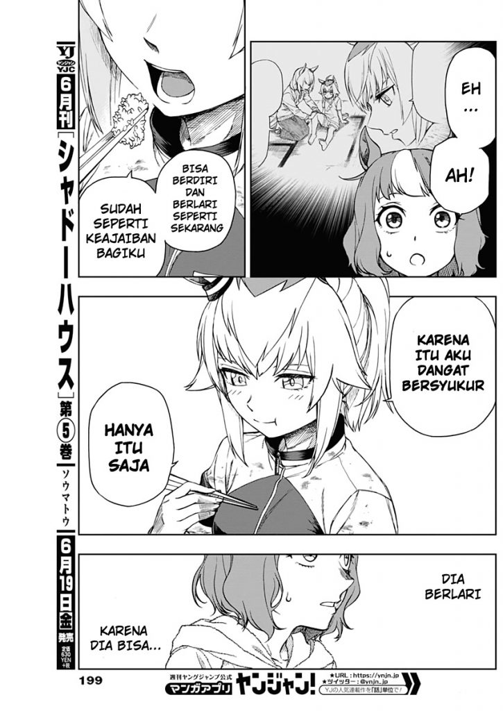 Uma Musume: Cinderella Gray