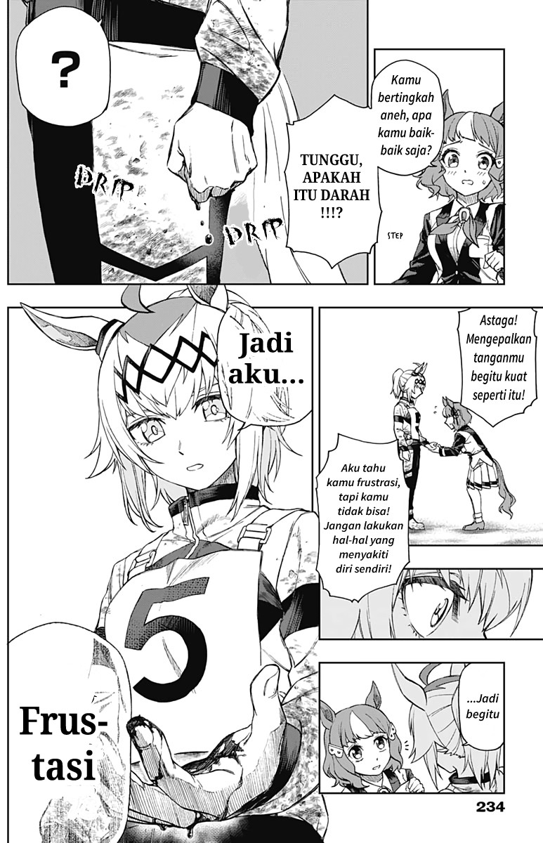 Uma Musume: Cinderella Gray